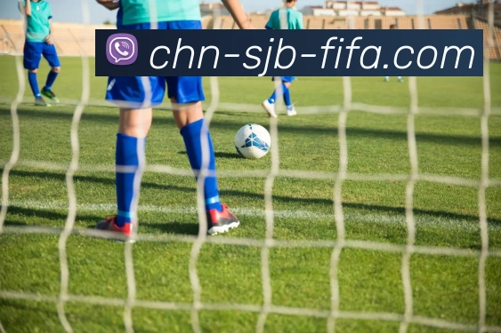 世界杯买球服务体系