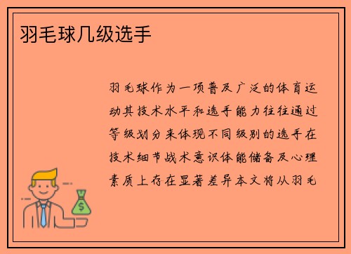 羽毛球几级选手